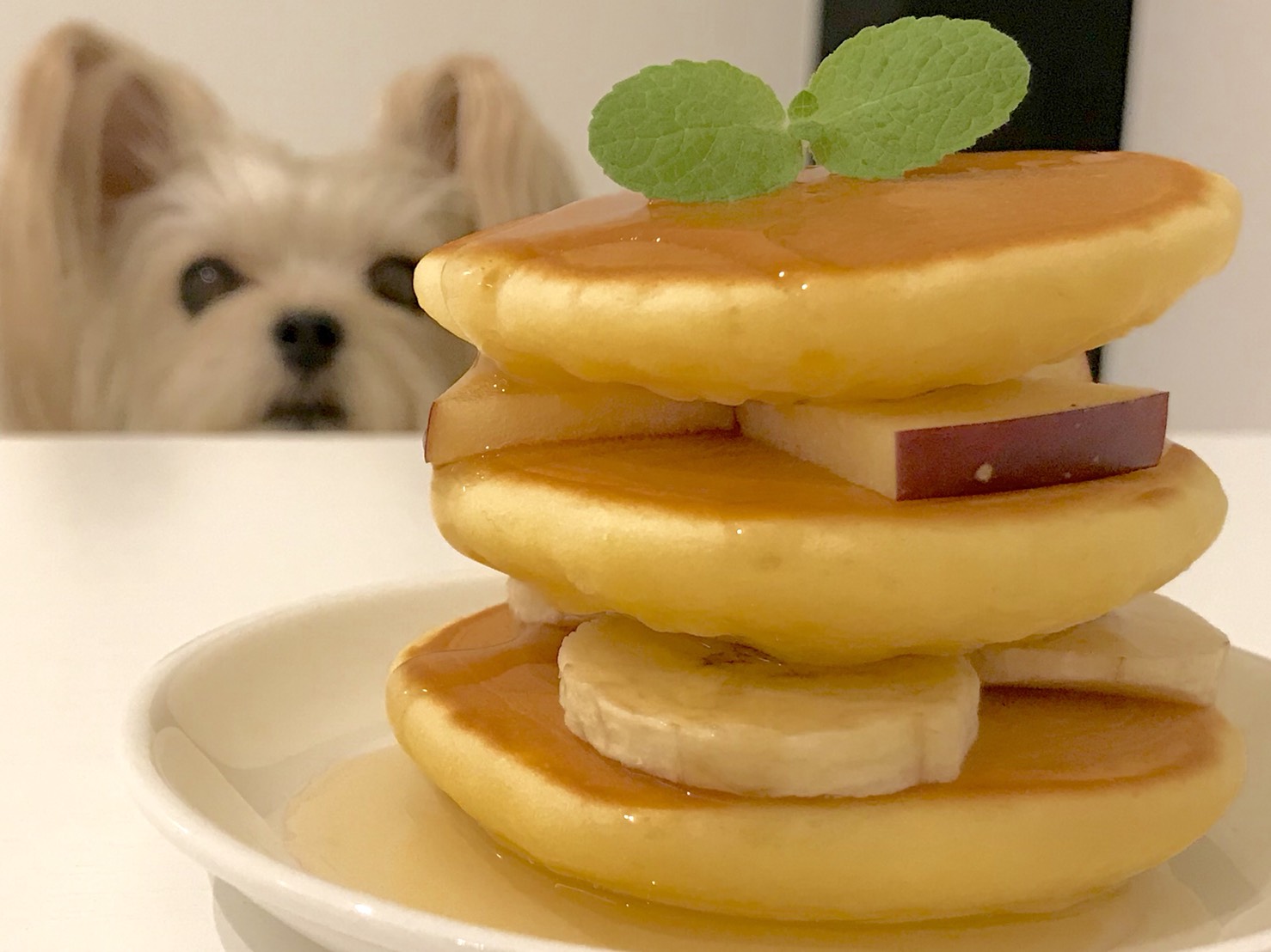 人が食べてもうまい 犬のホットケーキ ５分で作る簡単レシピ Simple Pure